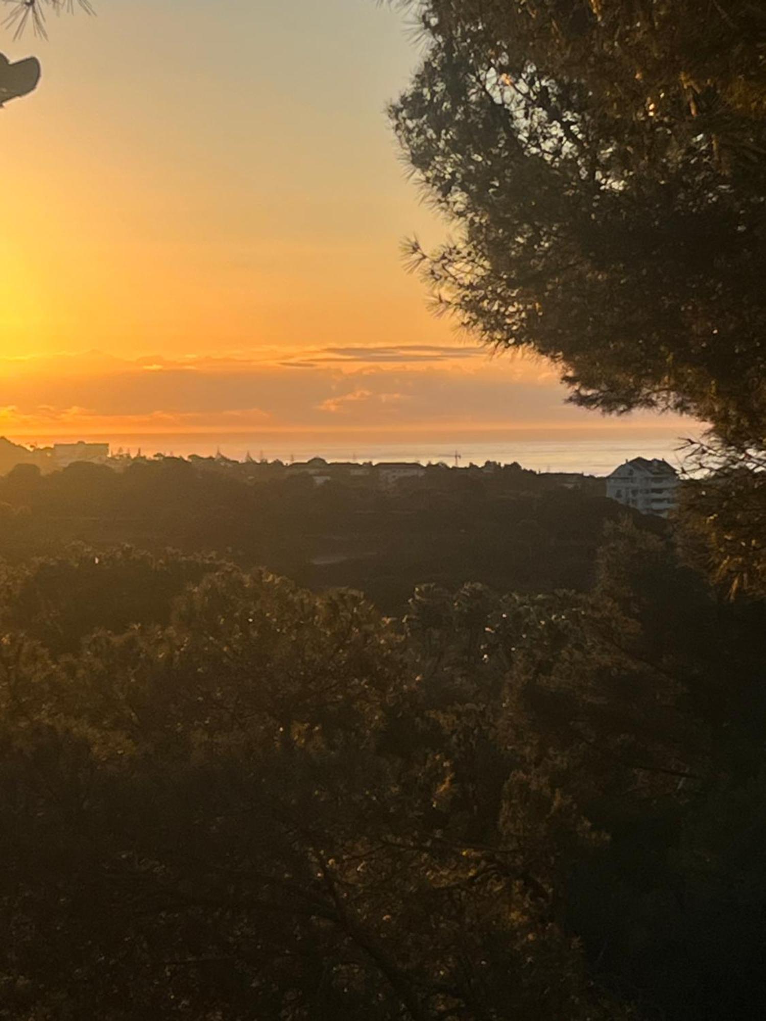 F, Incosol, Rio Real, Marbella